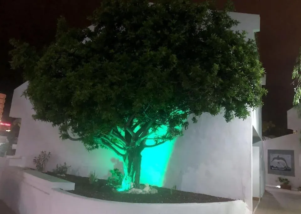 Apartamento Lucia Garden City Con Piscina Climatizada Playa Feñabe