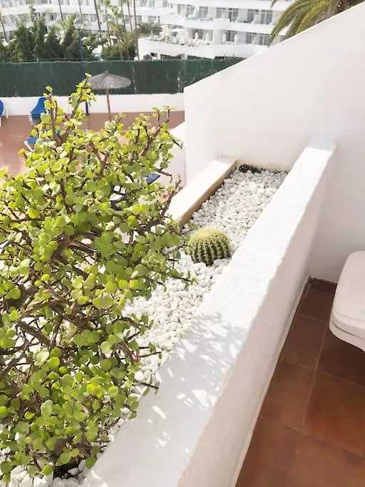 Διαμέρισμα Apartamento Lucia Garden City Con Piscina Climatizada Playa Feñabe