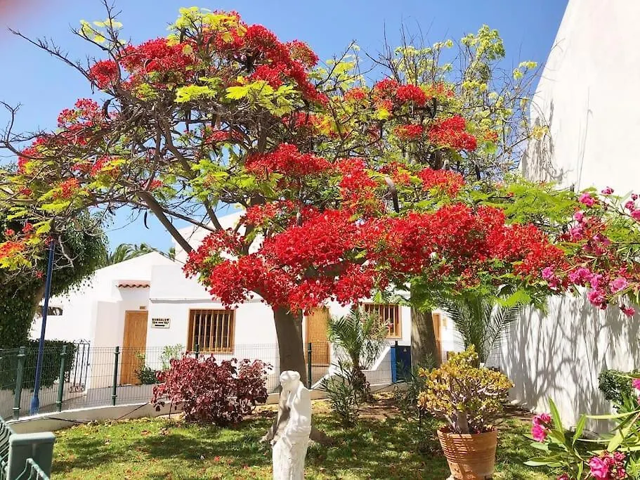 Διαμέρισμα Apartamento Lucia Garden City Con Piscina Climatizada Playa Feñabe